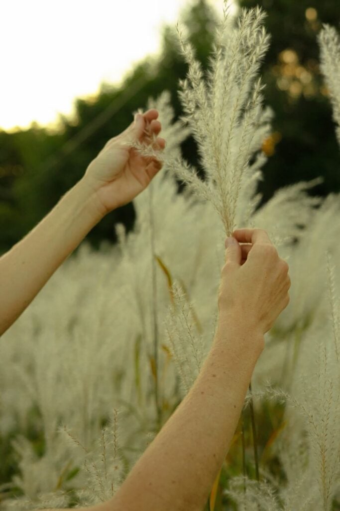 Seeds by Sara Founder Sara Cahill 12